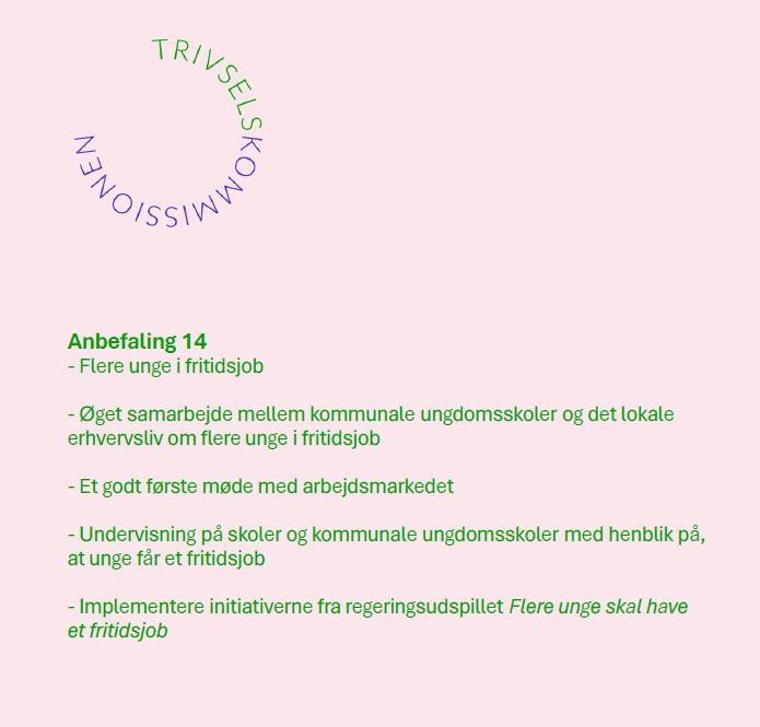 Trivselskommissionen: Flere unge i fritidsjob